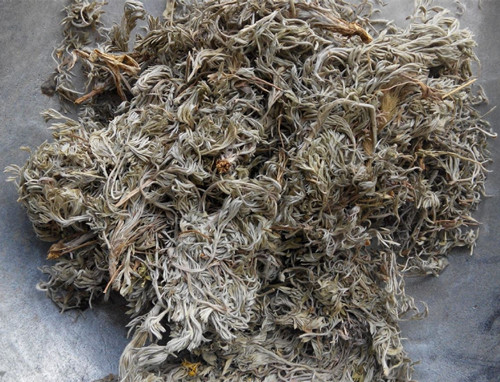 茵陈