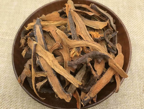 骨碎补